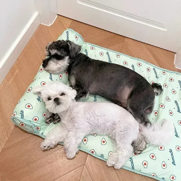 BUY 2 GET 10% OFFCats/Dogs Cooling Bed